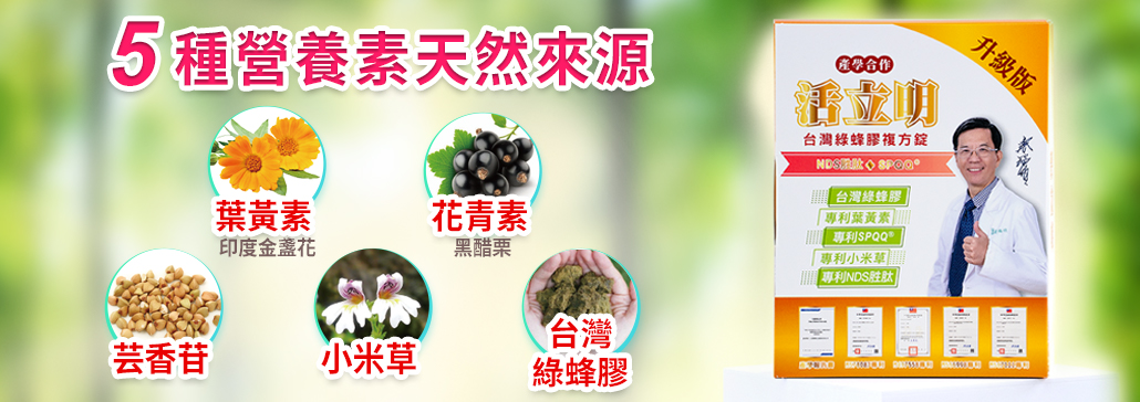活立明-2026新版改作
